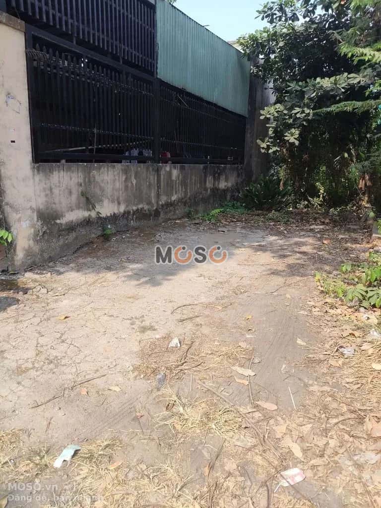 Bán đất đường số 1 Huyện Bình Chánh, TP.HCM – giá 6 tỷ - ảnh 2