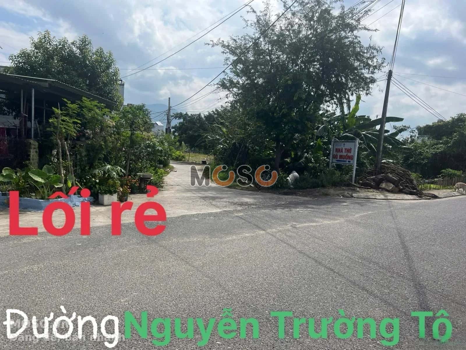 Bán đất Nguyễn Trường Tộ  Thị xã Ninh Hòa, Khánh Hòa – giá 1.6 tỷ - ảnh 6