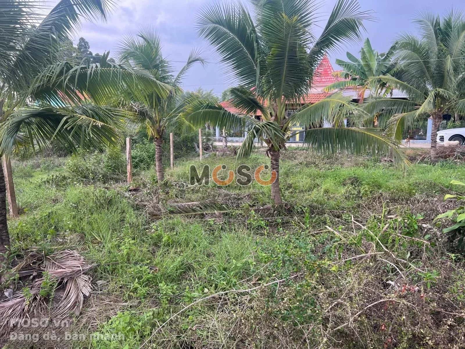Bán đất Tỉnh Lộ 7, Thôn 3 Thị xã Ninh Hòa, Khánh Hòa – giá 530 triệu - ảnh 1