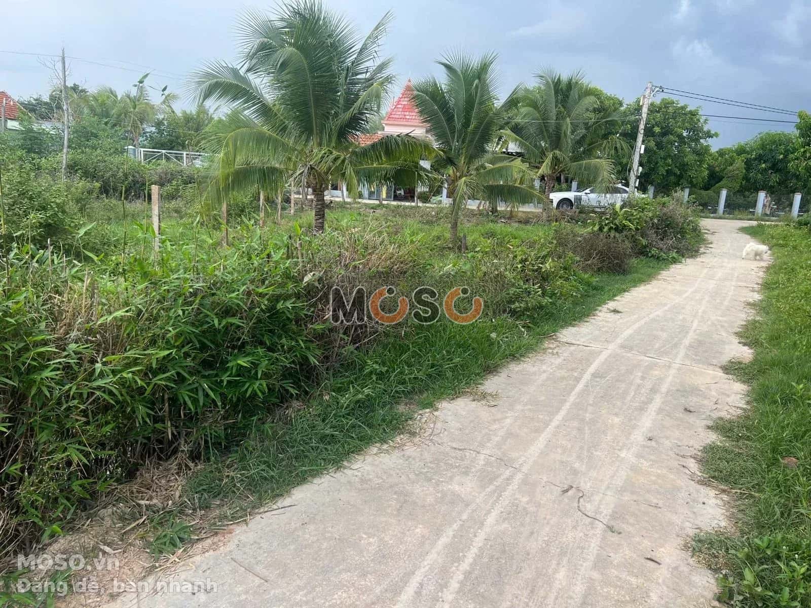Bán đất Tỉnh Lộ 7, Thôn 3 Thị xã Ninh Hòa, Khánh Hòa – giá 530 triệu - ảnh 5