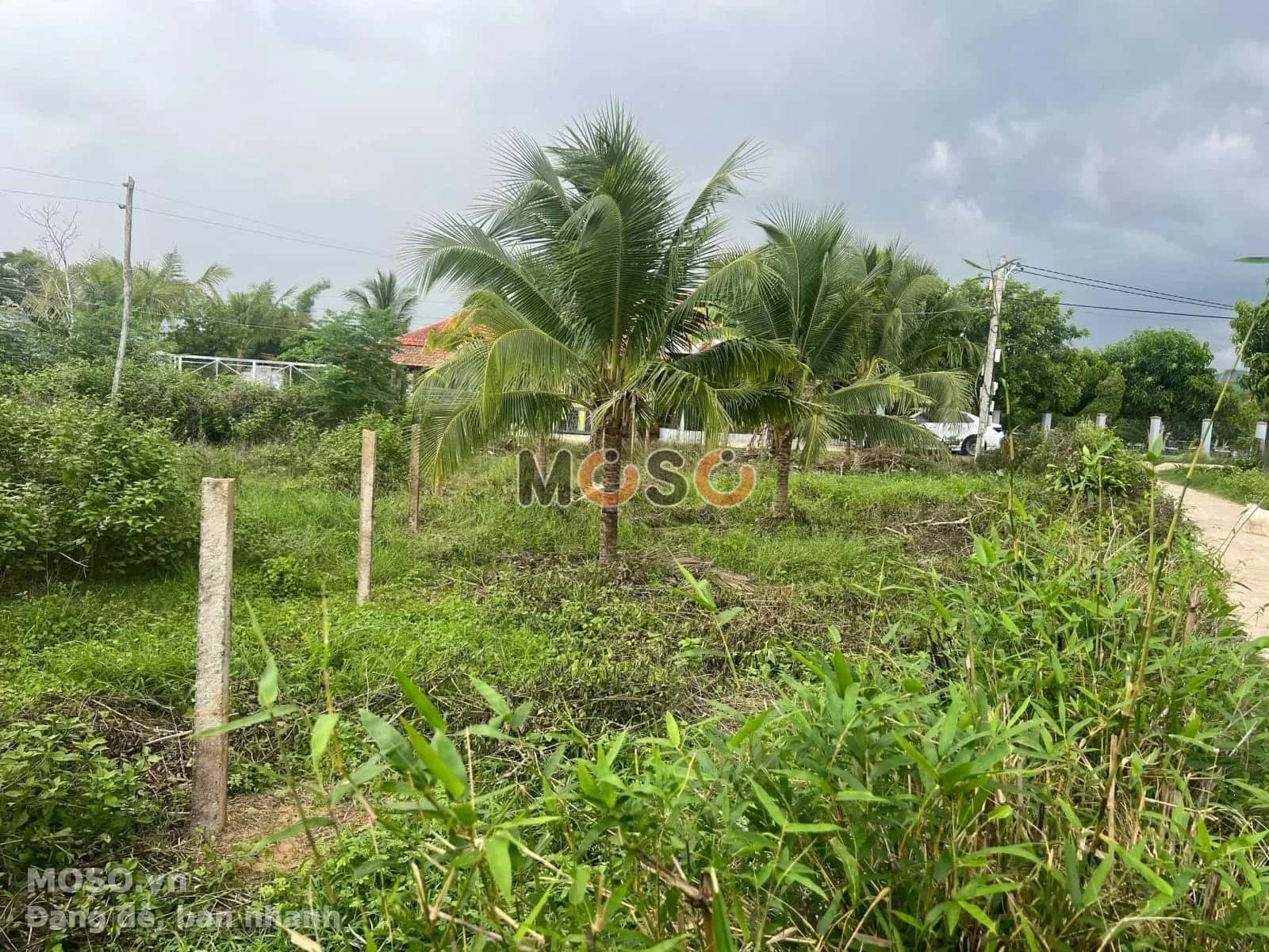 Bán đất Tỉnh Lộ 7, Thôn 3 Thị xã Ninh Hòa, Khánh Hòa – giá 530 triệu - ảnh 4