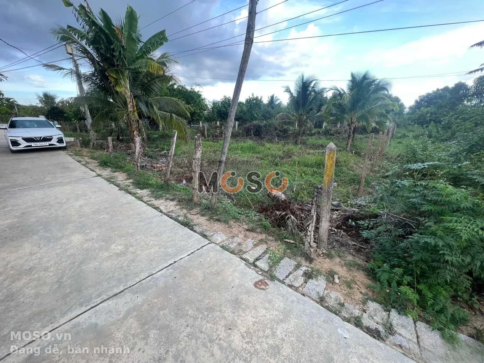 Bán đất Tỉnh Lộ 7, Thôn 3 Thị xã Ninh Hòa, Khánh Hòa – giá 530 triệu - ảnh 6
