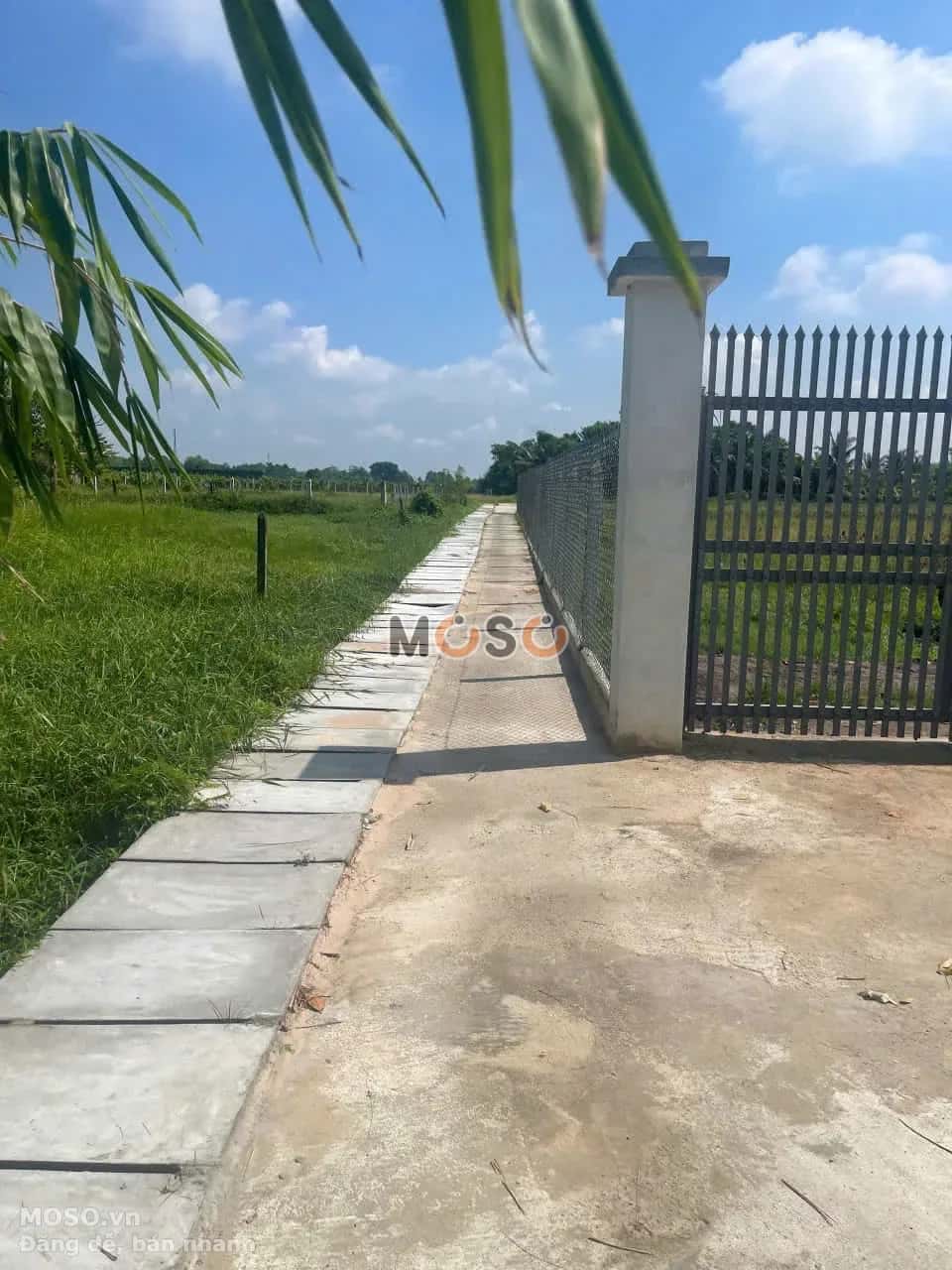 Bán đất ấp Mỹ Thạnh B Huyện Củ Chi, TP.HCM – giá 1.4 tỷ - ảnh 4