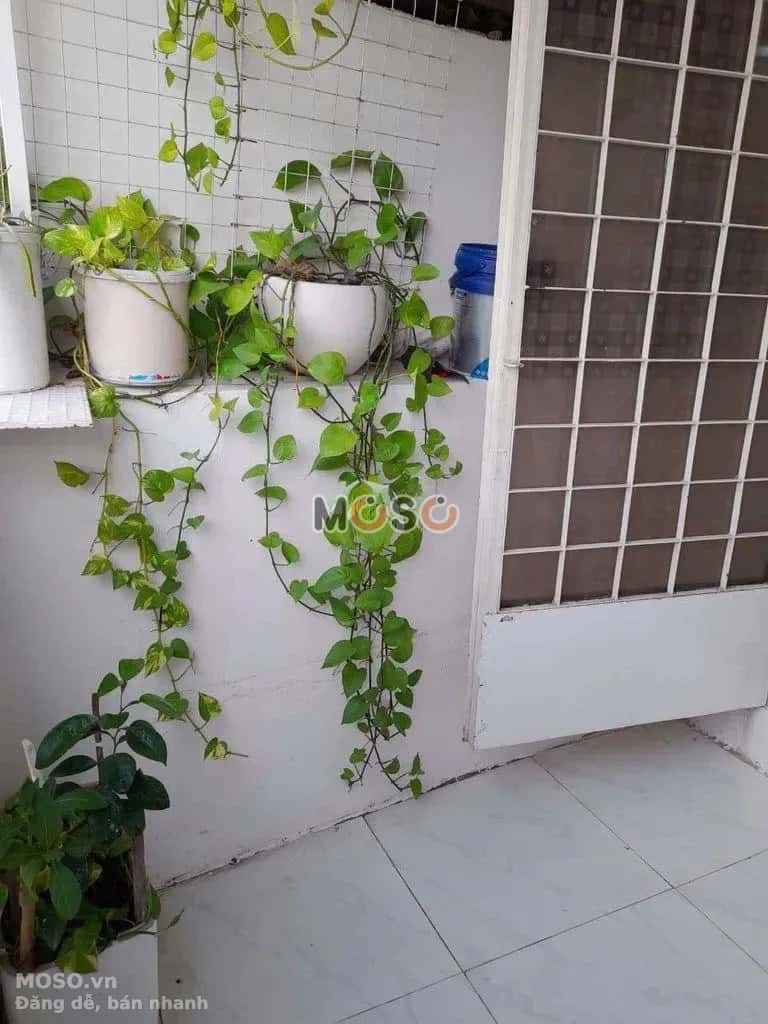 Cho thuê nhà hẻm Tú Mỡ Gò Vấp, TP.HCM – 2 phòng ngủ, giá 4.5 triệu - ảnh 5