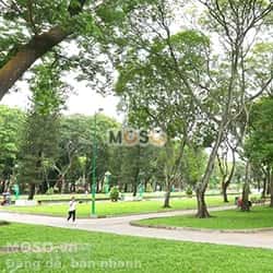 Bán nhà mặt tiền An Dương Vương Quận Bình Tân, TP.HCM – 6 phòng ngủ, giá 9.5 tỷ - ảnh 6