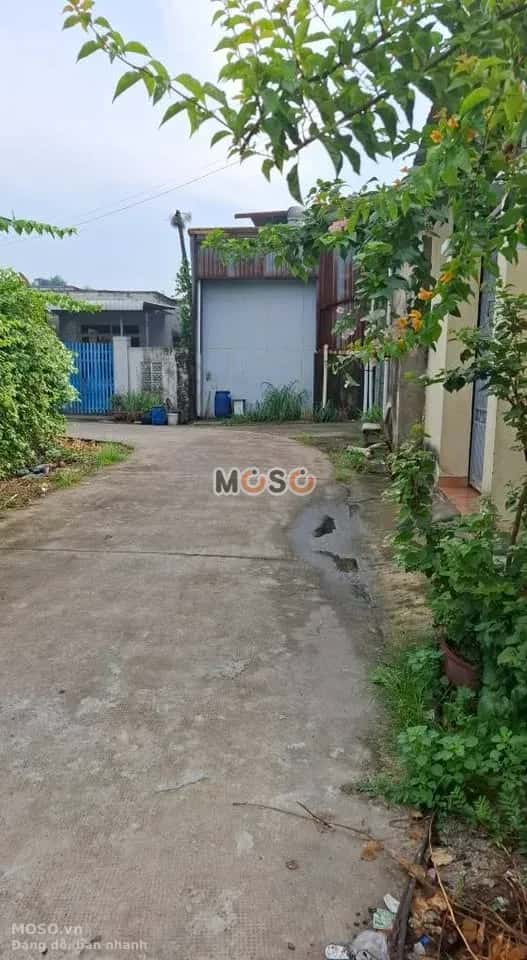 Bán đất đường số 75 Huyện Củ Chi, TP.HCM – giá 3.3 tỷ - ảnh 4