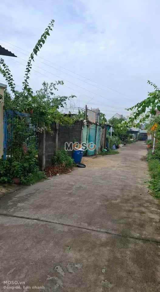 Bán đất đường số 75 Huyện Củ Chi, TP.HCM – giá 3.3 tỷ - ảnh 2