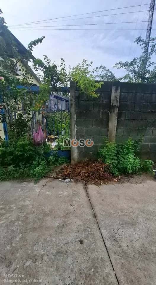 Bán đất đường số 75 Huyện Củ Chi, TP.HCM – giá 3.3 tỷ - ảnh 1