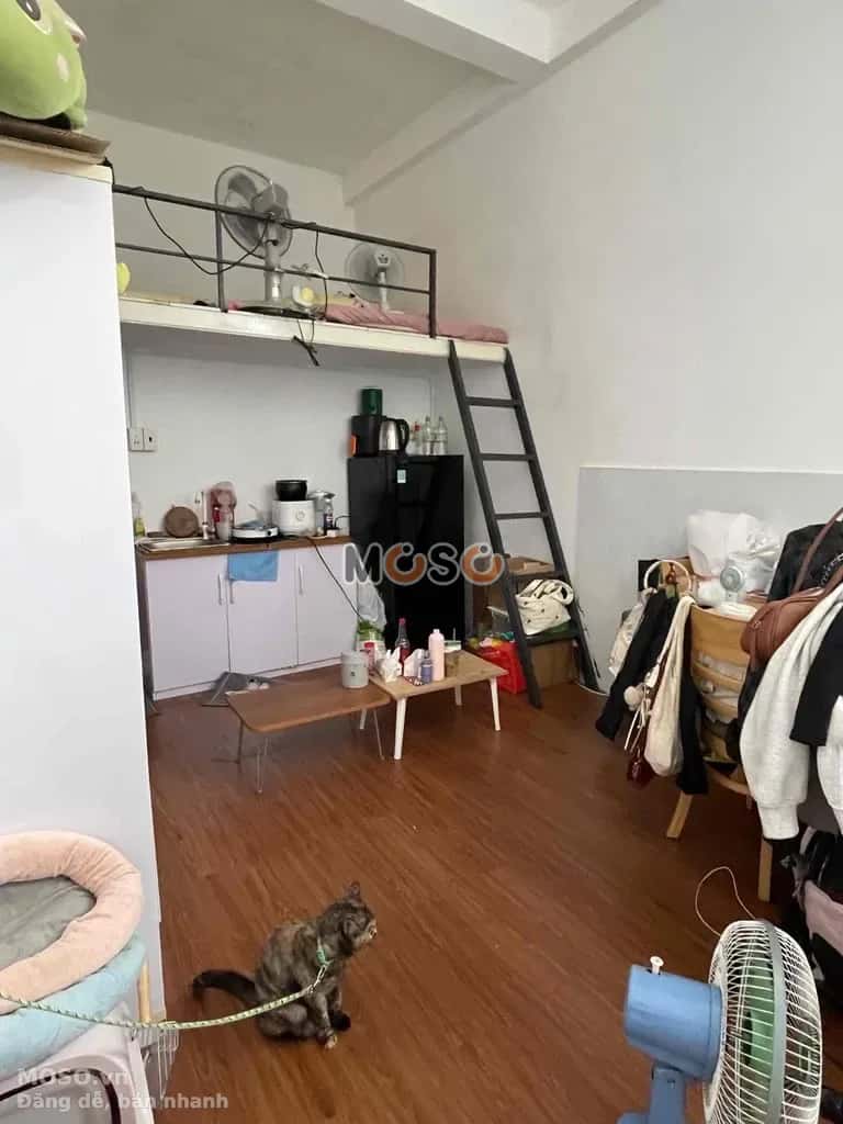 Cho thuê phòng trọ Dương Bá Trạc Quận 8, TP.HCM – 4 phòng ngủ, giá 1.5 triệu - ảnh 1
