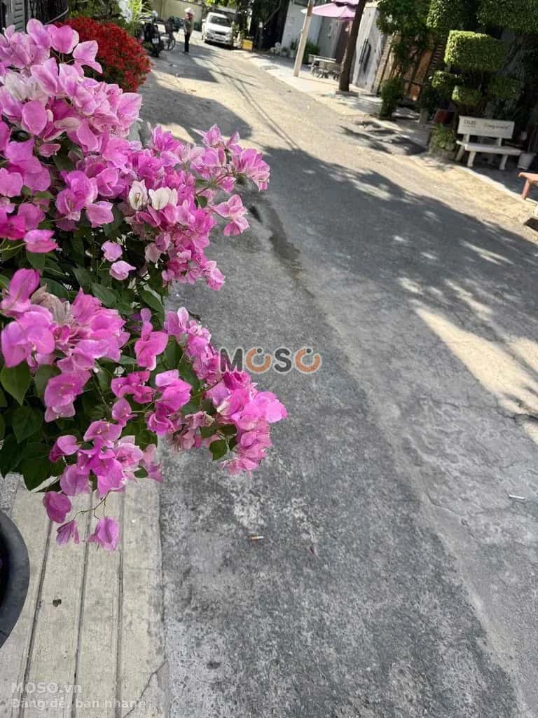 Cho thuê nhà hẻm Đường Song Hành Quận 12, TP.HCM – 4 phòng ngủ, giá 12 triệu - ảnh 10