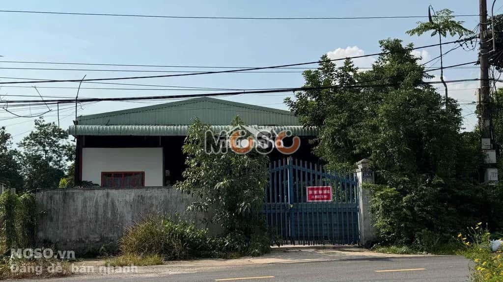 Cho thuê kho, nhà xưởng Đường Lý Thị Chùng Huyện Củ Chi, TP.HCM – giá 10 triệu - ảnh 3