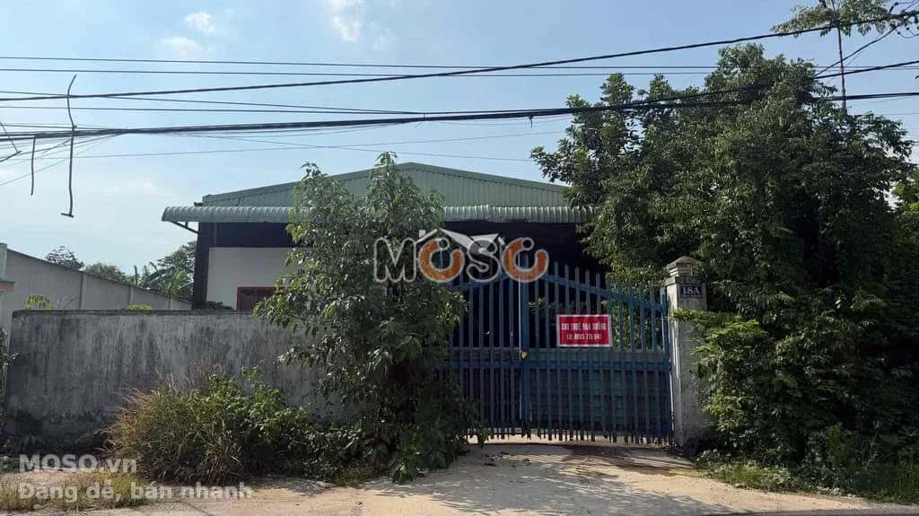 Cho thuê kho, nhà xưởng Đường Lý Thị Chùng Huyện Củ Chi, TP.HCM – giá 10 triệu - ảnh 4