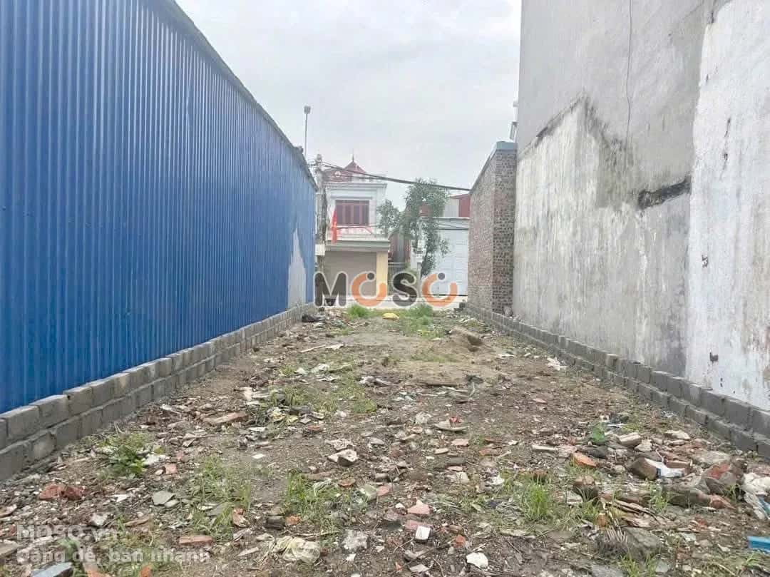 Bán đất đường DT361, Thôn Lạng Côn Huyện Kiến Thuỵ, TP. Hải Phòng – giá 3.8 tỷ - ảnh 1