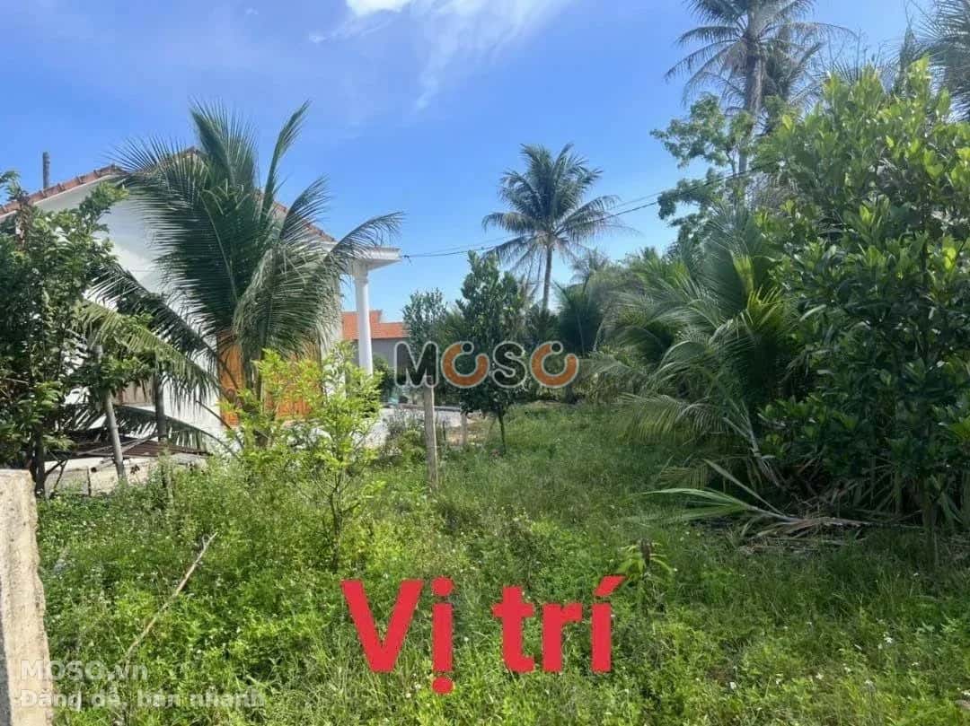 Bán đất đường ĐT 5 Thị xã Ninh Hòa, Khánh Hòa – giá 790 triệu - ảnh 1