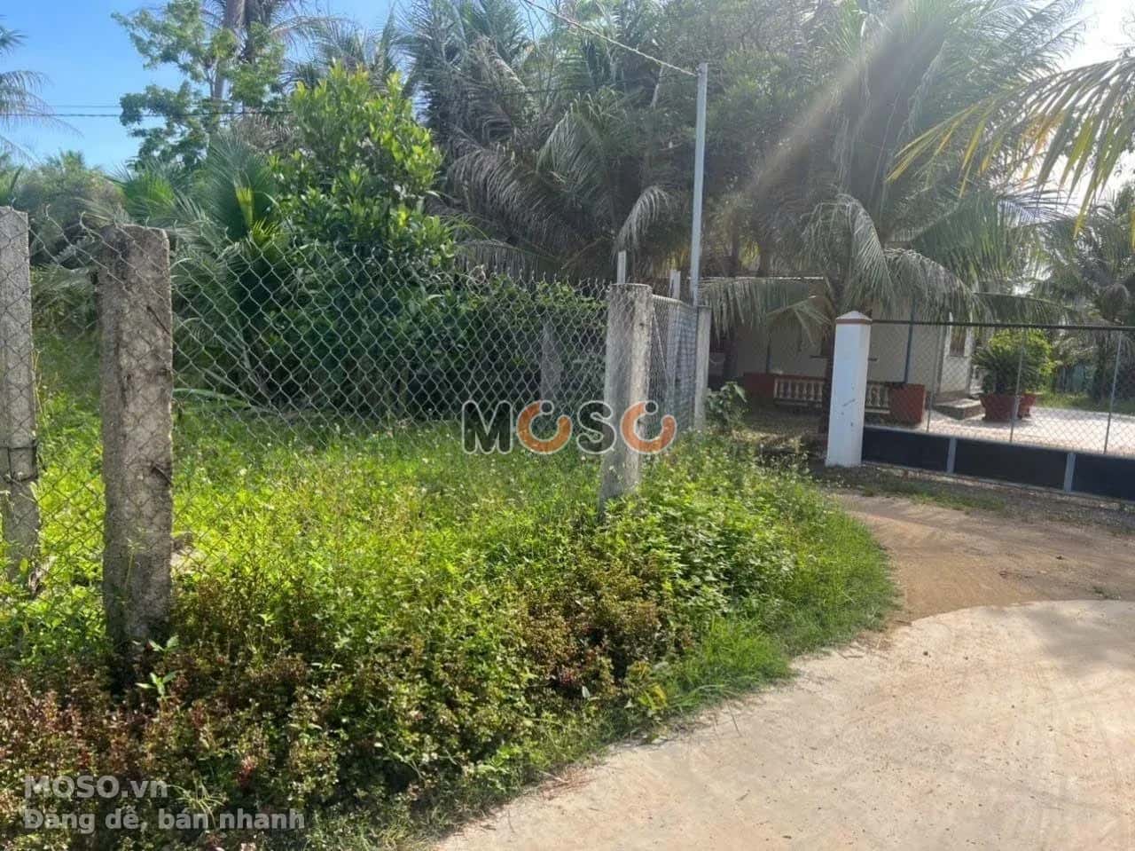 Bán đất đường ĐT 5 Thị xã Ninh Hòa, Khánh Hòa – giá 790 triệu - ảnh 4