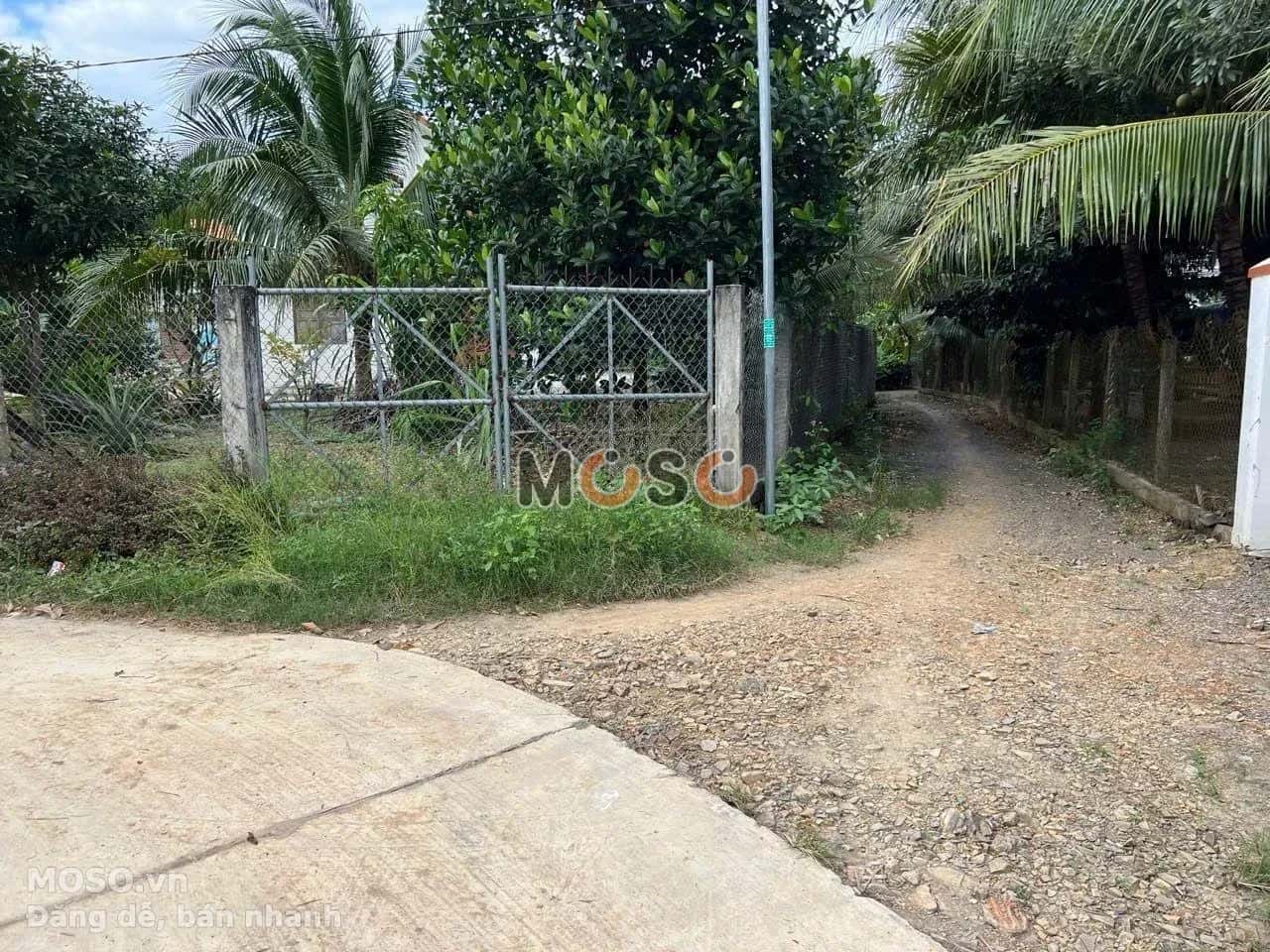 Bán đất đường ĐT 5 Thị xã Ninh Hòa, Khánh Hòa – giá 790 triệu - ảnh 2