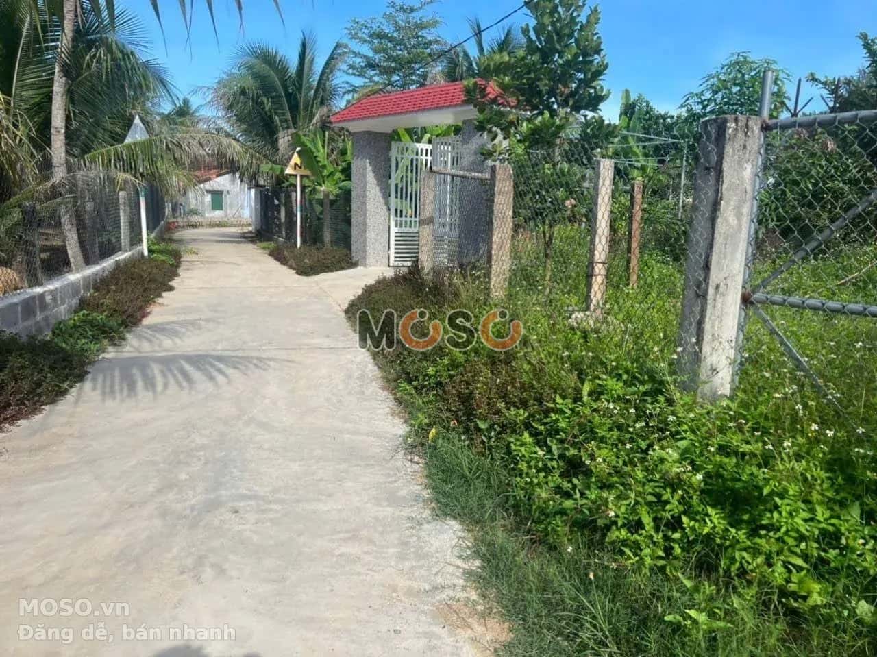 Bán đất đường ĐT 5 Thị xã Ninh Hòa, Khánh Hòa – giá 790 triệu - ảnh 7