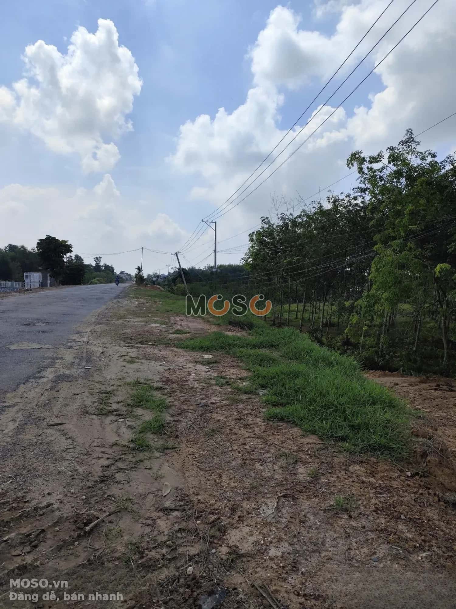 Bán đất đường 789 Thị xã Trảng Bàng, Tây Ninh – giá 6.5 tỷ - ảnh 3