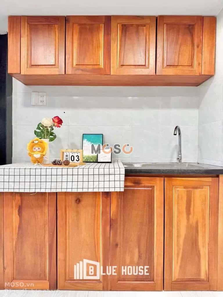 Cho thuê căn hộ chung cư Đường Lê Thúc Hoạch Tân Phú, TP.HCM – 1 phòng ngủ, giá 4.9 triệu - ảnh 7