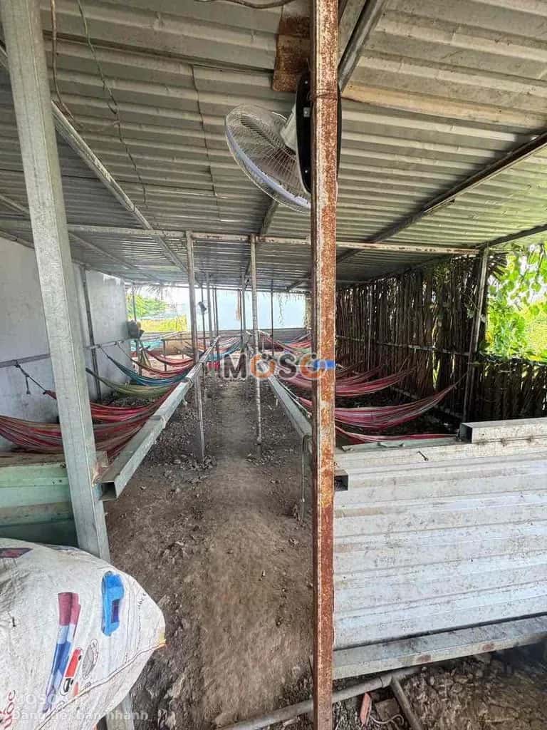 Cho thuê đất An Phú Quận 2 cũ, TP.HCM – giá 4 triệu - ảnh 4