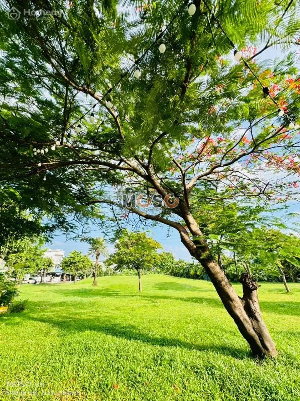 Cho thuê nhà hẻm Vành Đai Trong Quận 9, TP.HCM – 3 phòng ngủ, giá 15 triệu - ảnh 11