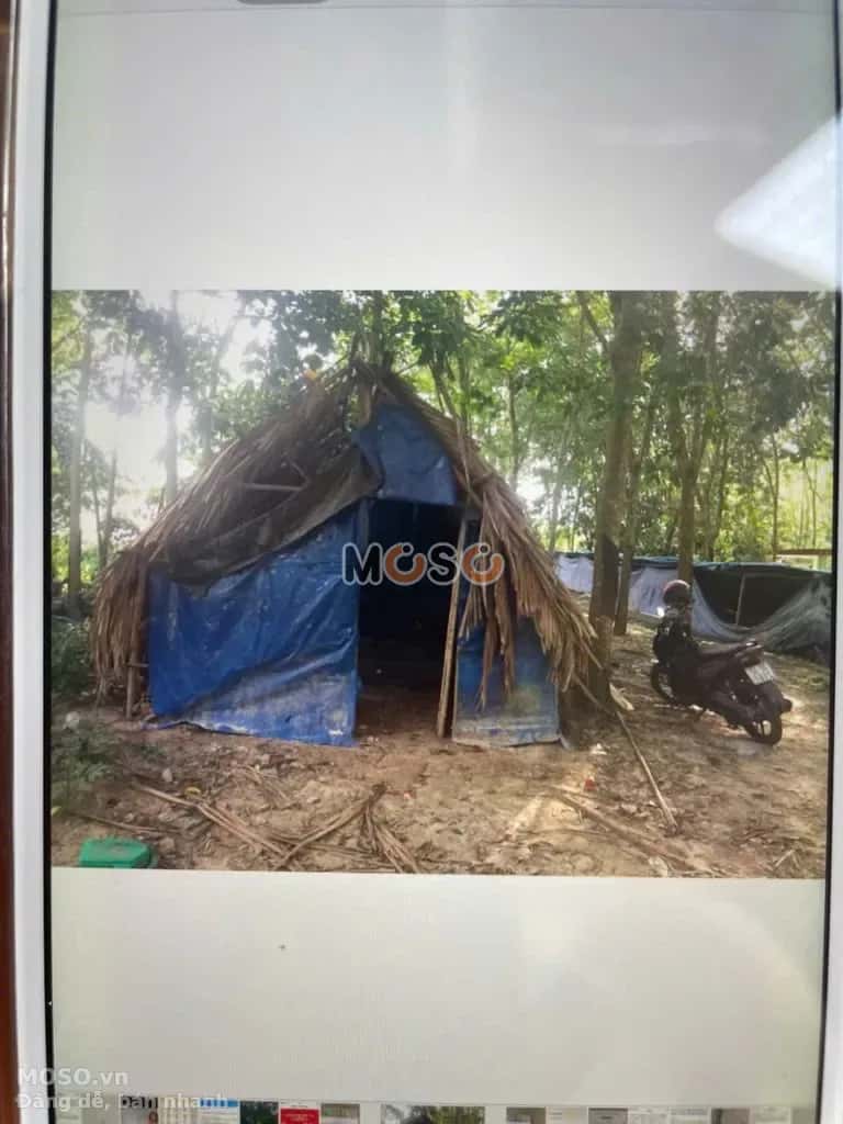 Cho thuê đất Cây Gõ Huyện Củ Chi, TP.HCM – giá 4.5 triệu - ảnh 4