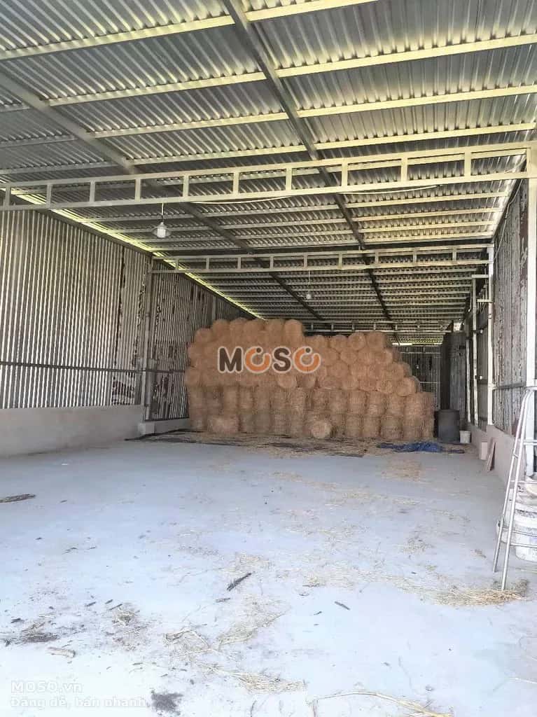 Cho thuê kho, nhà xưởng Hẻm 16 Huyện Hóc Môn, TP.HCM – giá 10 triệu - ảnh 4