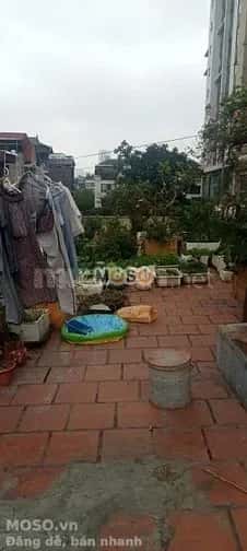 Cho thuê căn hộ chung cư Triều Khúc Quận Thanh Xuân, Hà Nội – giá 4 triệu - ảnh 1