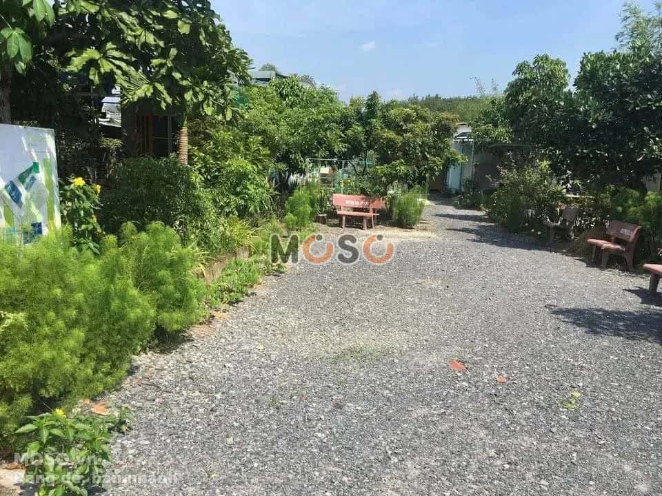 Bán nhà hẻm Nguyễn Thị Rành Huyện Củ Chi, TP.HCM – 6 phòng ngủ, giá 11 tỷ - ảnh 5