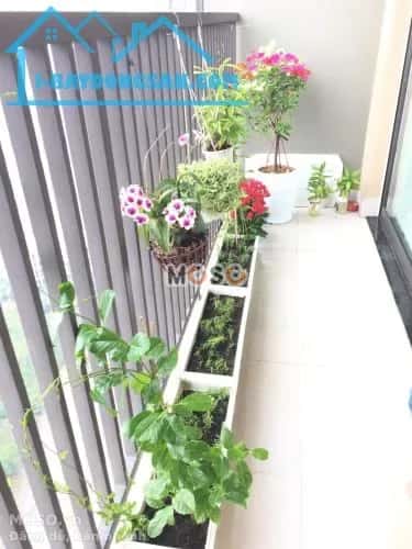 Cho thuê căn hộ chung cư Song Hành Thành phố Thủ Đức, TP.HCM – giá 10 triệu - ảnh 3