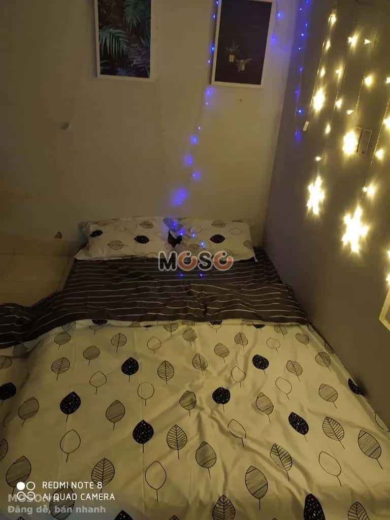Cho thuê căn hộ dịch vụ Đường Nguyễn Tri Phương Quận 5, TP.HCM – giá 1.3 triệu - ảnh 1