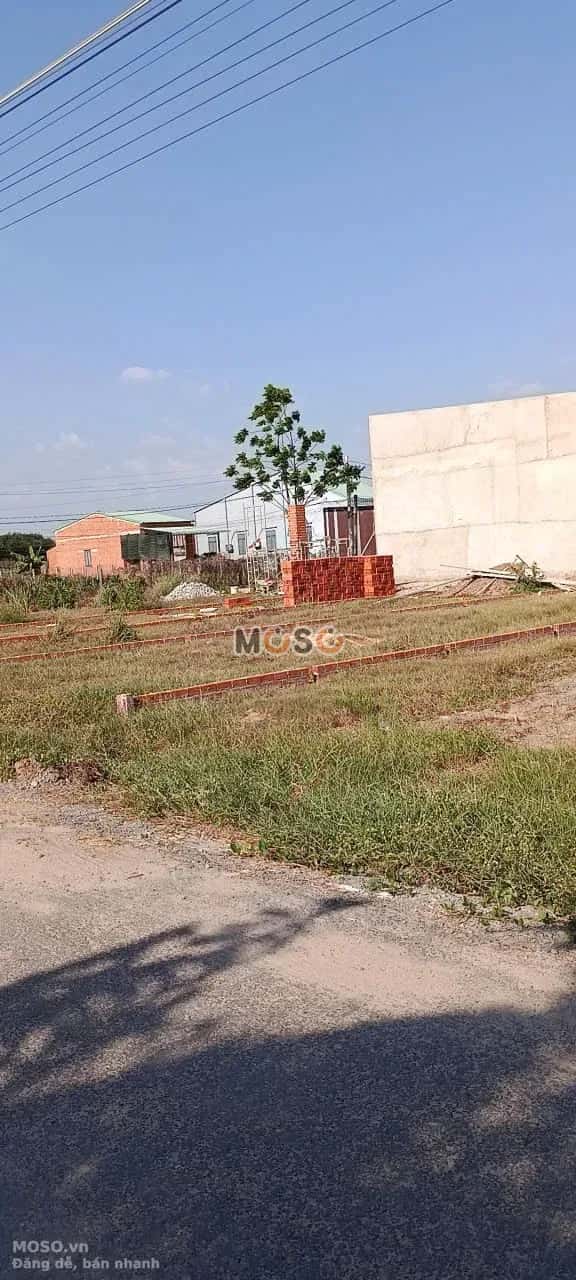 Bán đất Đường An Thới Thị xã Trảng Bàng, Tây Ninh – giá 790 triệu - ảnh 4