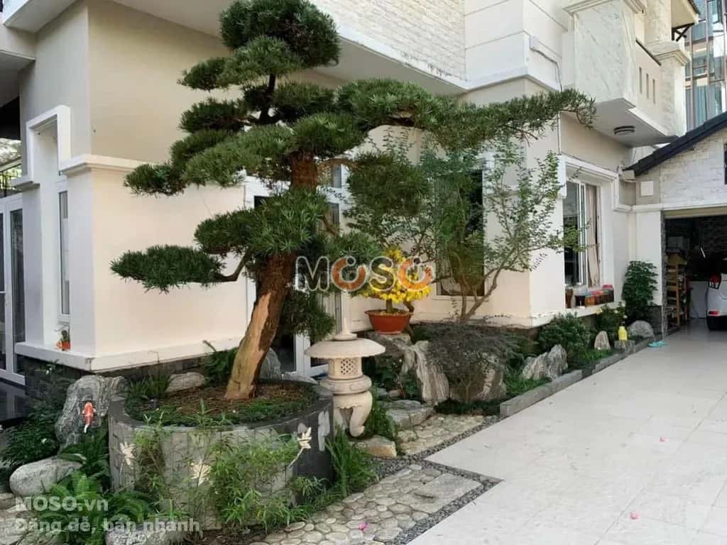 Cho thuê nhà hẻm Đường Số 30 Bình Tân, TP.HCM – 5 phòng ngủ, giá 60 triệu - ảnh 2