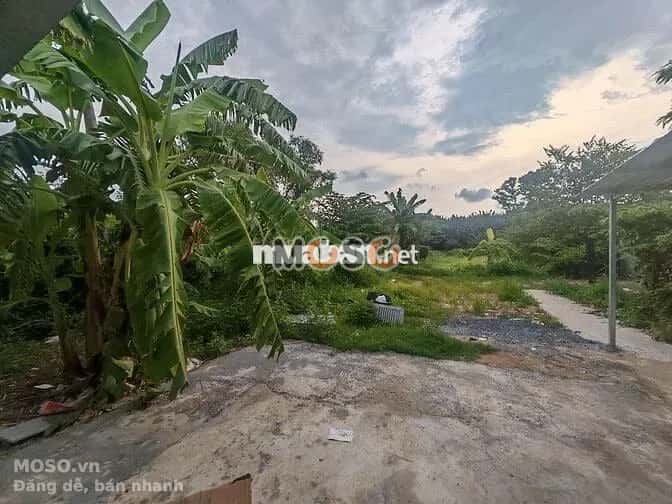 Cho thuê phòng trọ Quận Bình Thạnh, Ho Chi Minh – 2 phòng ngủ, giá 1.5 triệu - ảnh 9