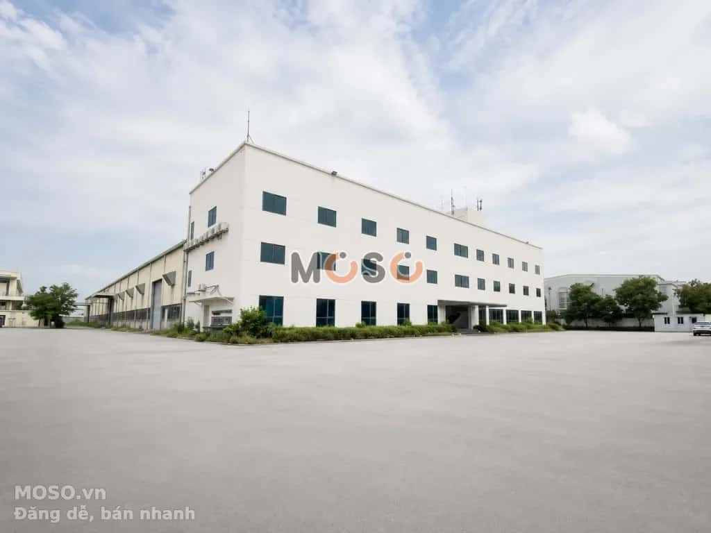 Cho thuê kho, nhà xưởng Quang Minh, Hà Nội – giá 100 triệu - ảnh 3