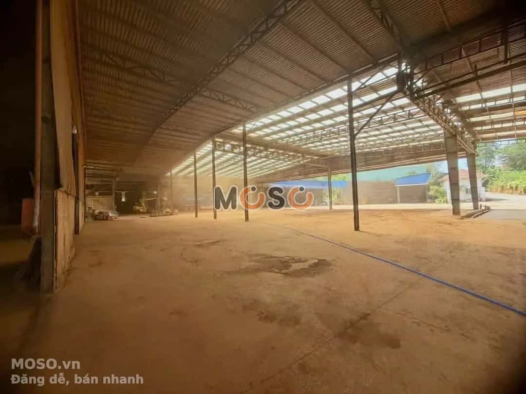 Cho thuê kho, nhà xưởng Thành phố Hồ Chí Minh, Ho Chi Minh – giá 300 triệu - ảnh 5