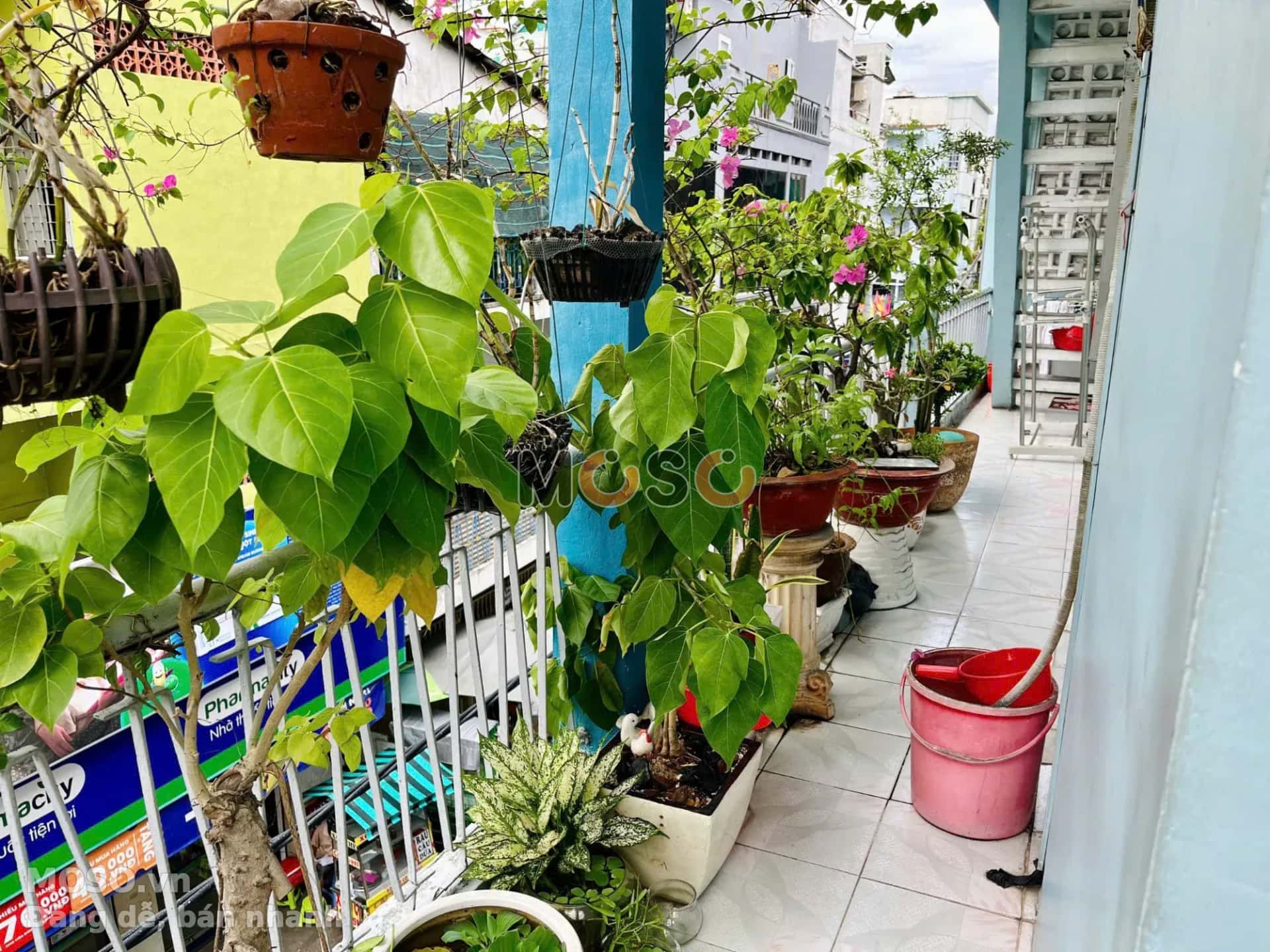 Bán nhà mặt tiền Hoàng Diệu Quận 4, TP.HCM – 3 phòng ngủ, giá 12.8 tỷ - ảnh 5
