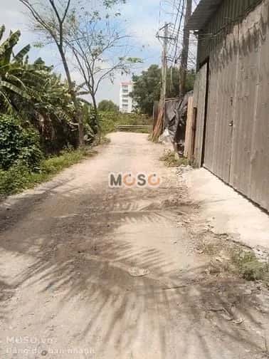 Cho thuê kho, nhà xưởng Đường Phạm Văn Sáng Huyện Hóc Môn, TP.HCM – giá 10 triệu - ảnh 4