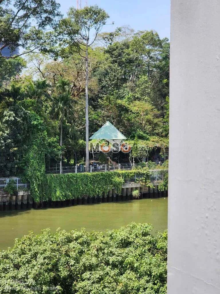 Cho thuê căn hộ chung cư Đường Trường Sa Quận Bình Thạnh, TP.HCM – giá 11 triệu - ảnh 2
