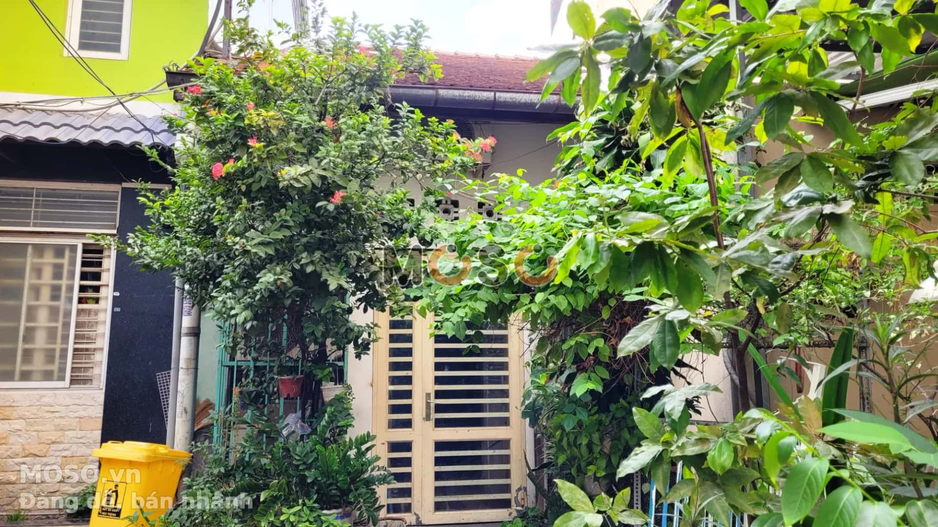Bán nhà hẻm Lý Chính Thắng Quận 3, TP.HCM – 2 phòng ngủ, giá 60 tỷ - ảnh 4