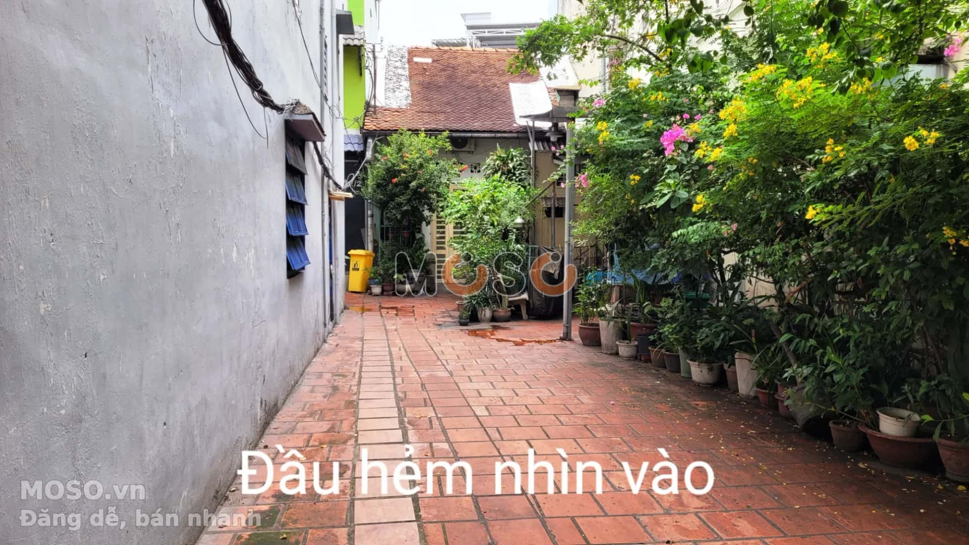 Bán nhà hẻm Lý Chính Thắng Quận 3, TP.HCM – 2 phòng ngủ, giá 60 tỷ - ảnh 13