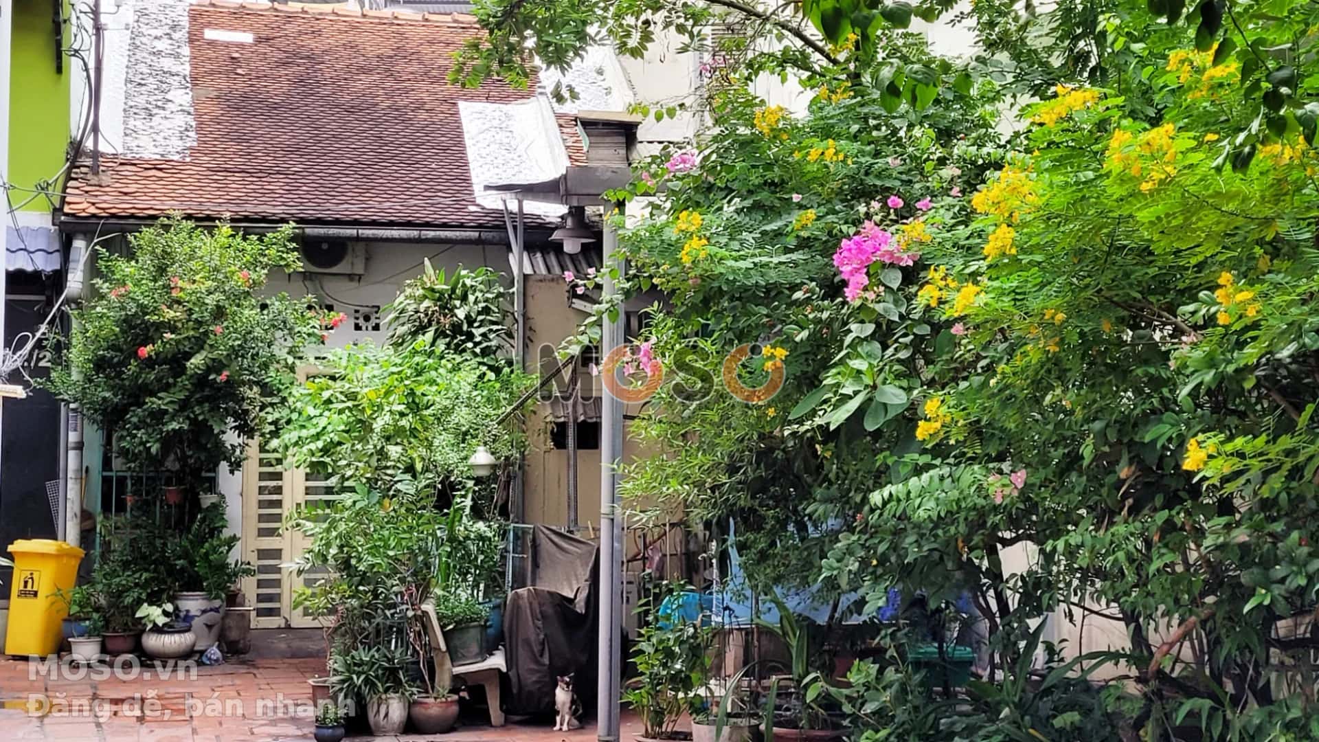 Bán nhà hẻm Lý Chính Thắng Quận 3, TP.HCM – 2 phòng ngủ, giá 60 tỷ - ảnh 15