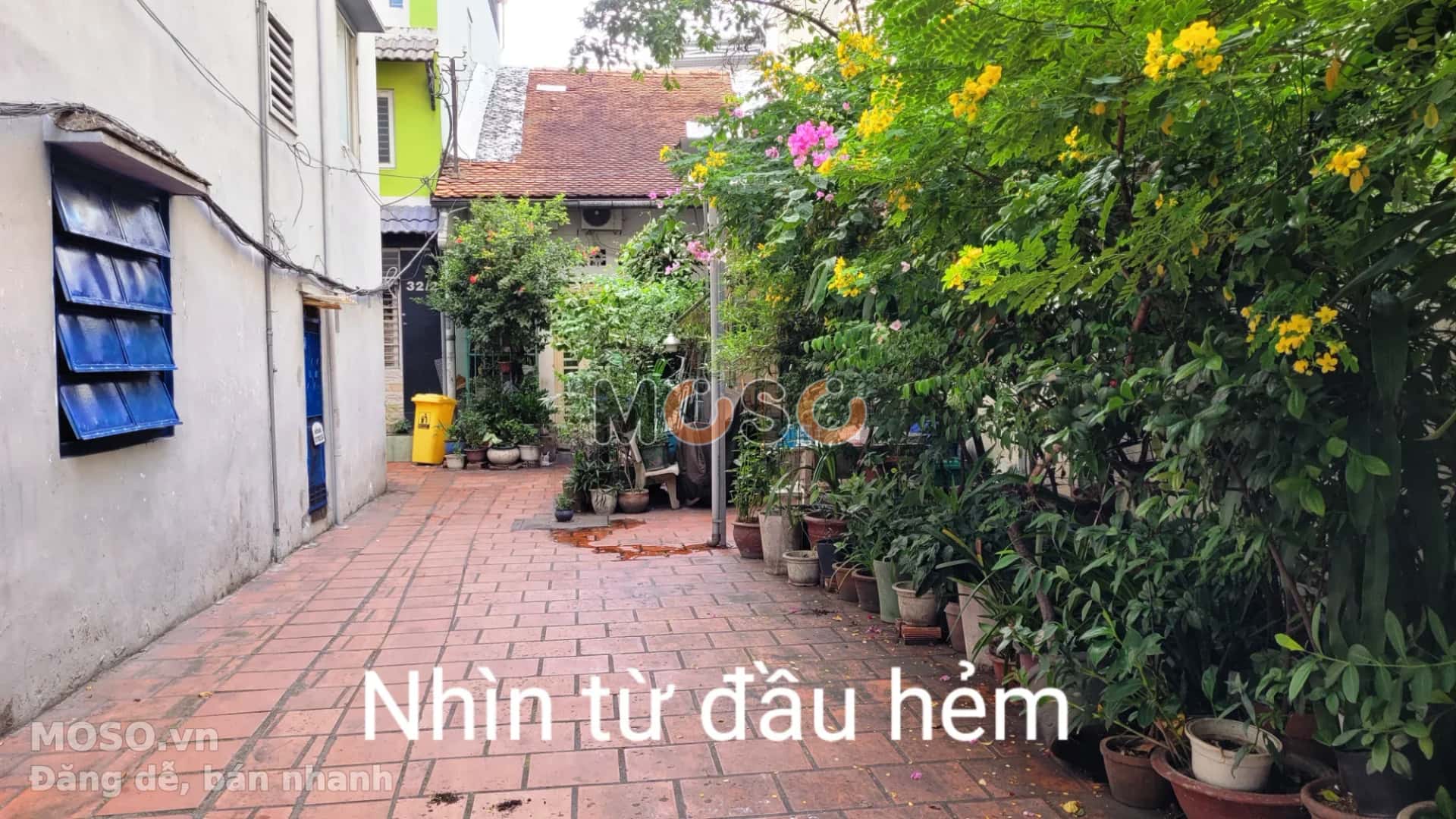 Bán nhà hẻm Lý Chính Thắng Quận 3, TP.HCM – 2 phòng ngủ, giá 60 tỷ - ảnh 20