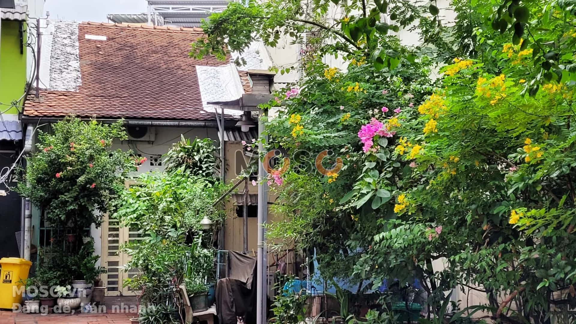 Bán nhà hẻm Lý Chính Thắng Quận 3, TP.HCM – 2 phòng ngủ, giá 60 tỷ - ảnh 16