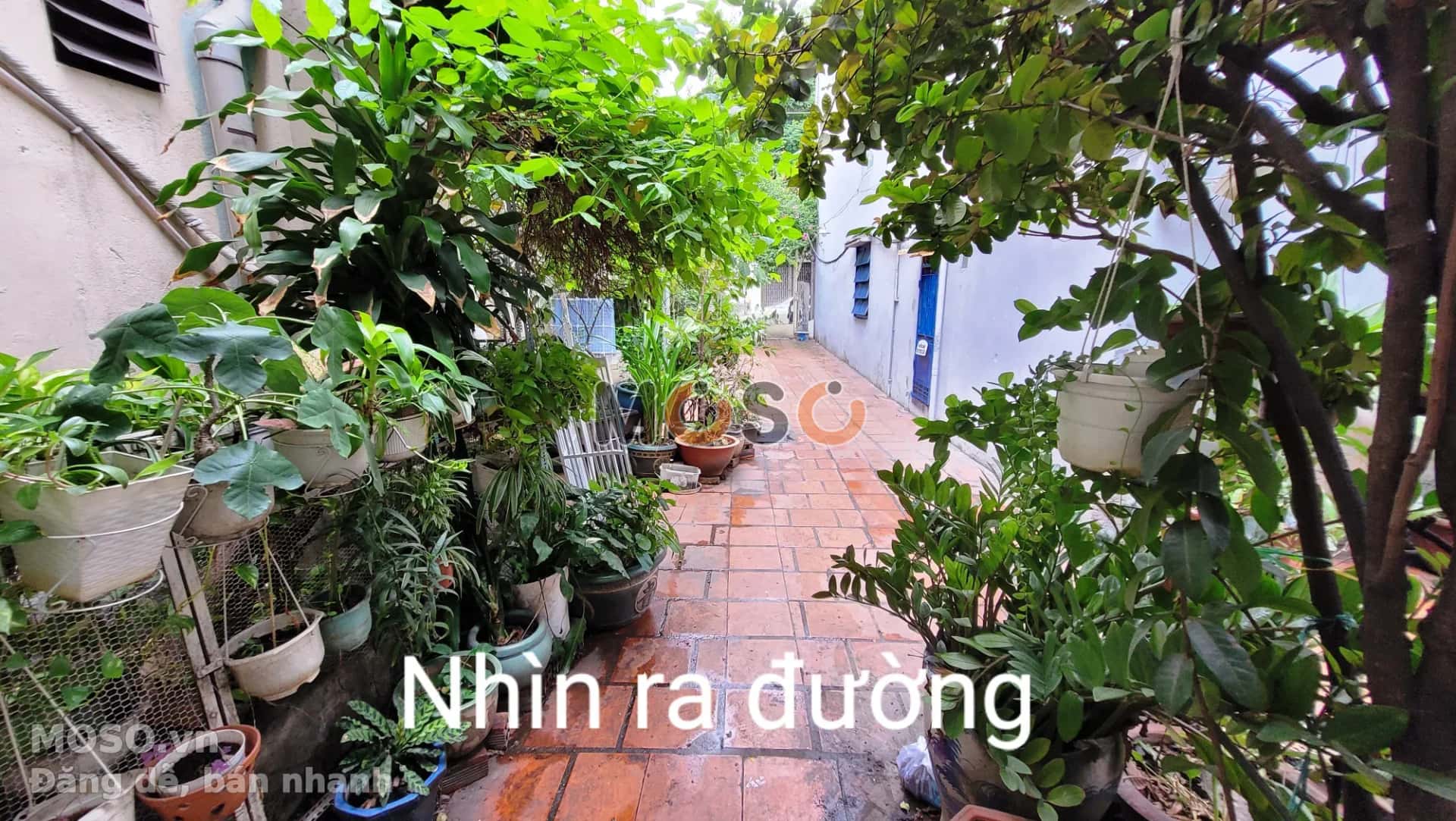 Bán nhà hẻm Lý Chính Thắng Quận 3, TP.HCM – 2 phòng ngủ, giá 60 tỷ - ảnh 19