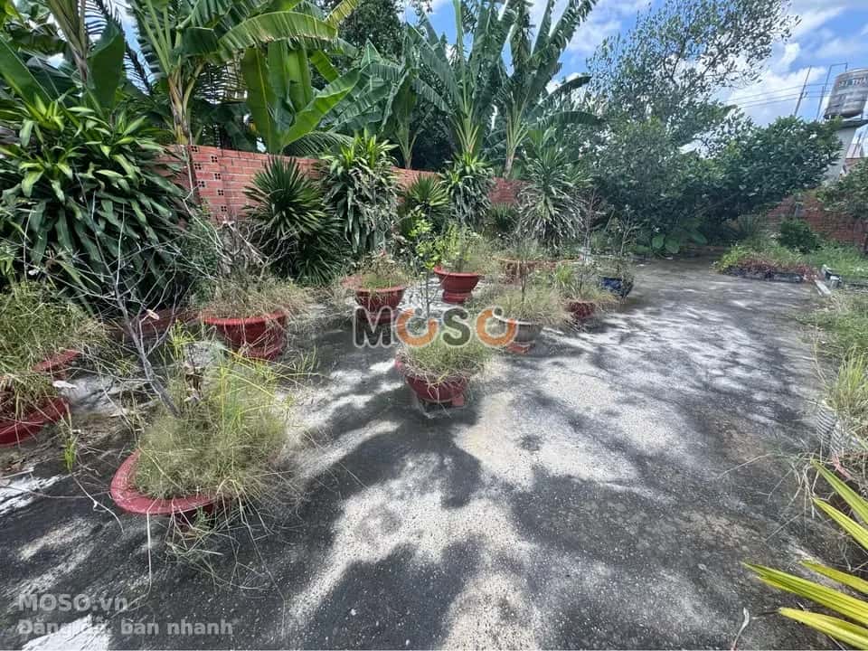 Bán đất hẻm đường Điện Biên Phủ, Khu phố Ninh Tân  Thành phố Tây Ninh, Tây Ninh – giá 1.3 tỷ - ảnh 3