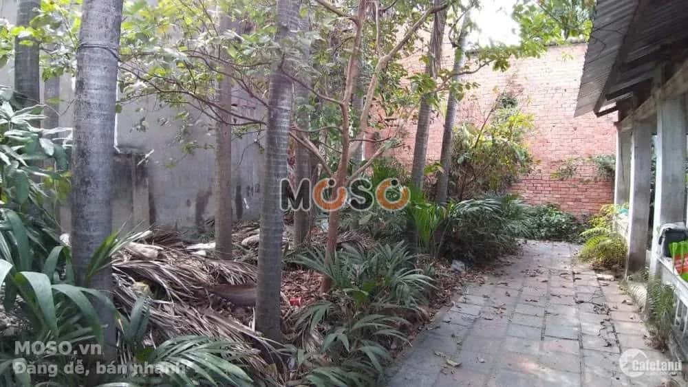 Bán nhà hẻm Bùi Quang Là Quận Gò Vấp, TP.HCM – 1 phòng ngủ, giá 7.8 tỷ - ảnh 2