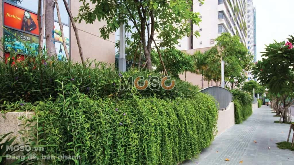 Cho thuê căn hộ chung cư Đường Tùng Thiện Vương Quận 8, TP.HCM – 2 phòng ngủ, giá 13 triệu - ảnh 3