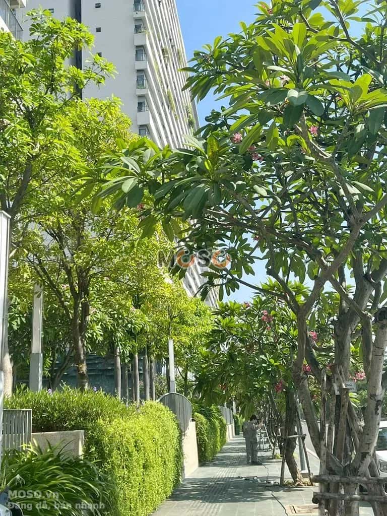 Cho thuê căn hộ chung cư Đường Tùng Thiện Vương Quận 8, TP.HCM – 2 phòng ngủ, giá 13 triệu - ảnh 5