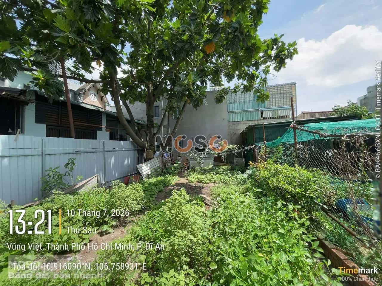 Bán đất Vũng Việt Thị xã Dĩ An, Bình Dương – giá 5.8 tỷ - ảnh 5